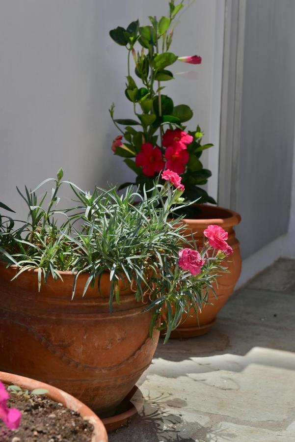 Feel At Home - Family House In Hydra エクステリア 写真